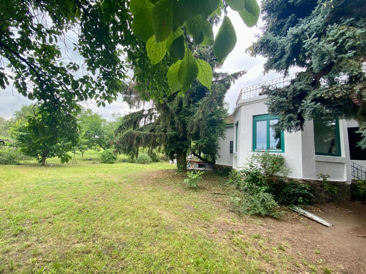 Villa Delibab Badacsonytomaj Exterior photo